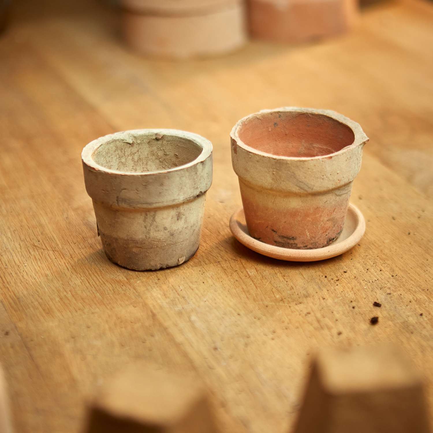 Terrakottaruukku, Ø 6,5 cm